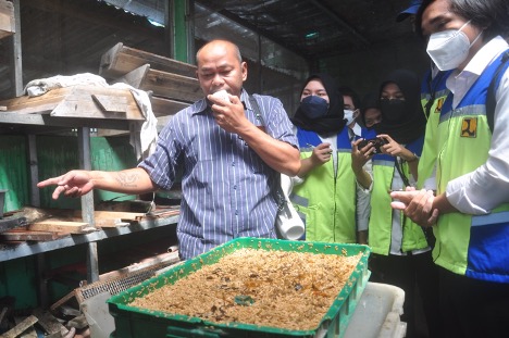 Maggots help Indonesians fight food waste at home 